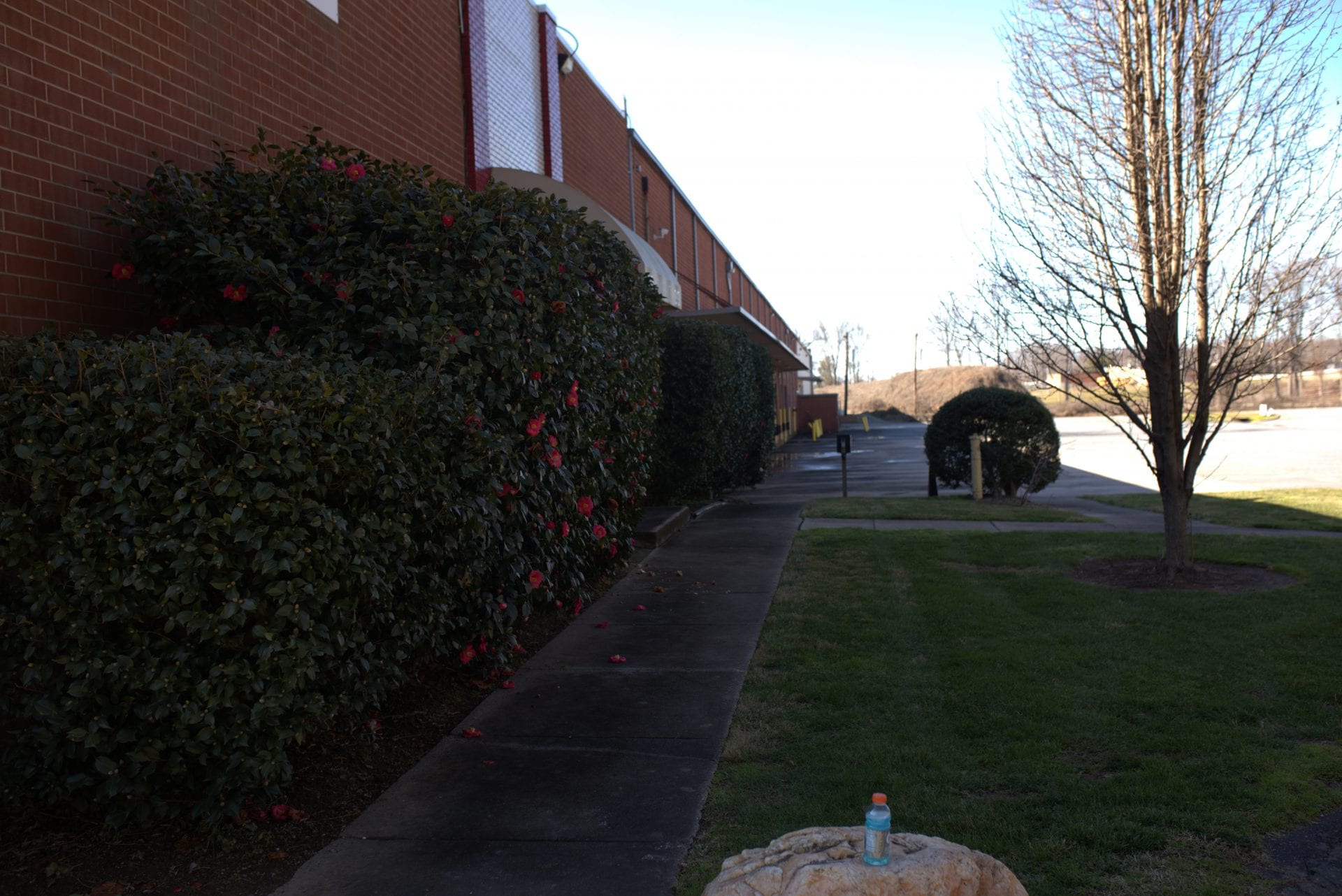 Exterior of Charlotte Warehouse Distribution Center offering commercial storage and small business storage with shipping and receiving docks.